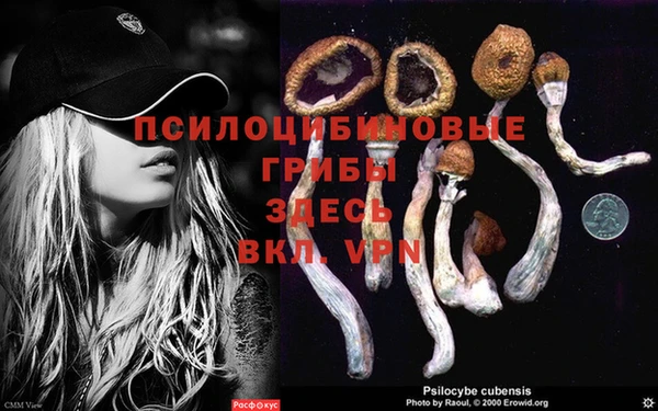 соль курить ск Бородино