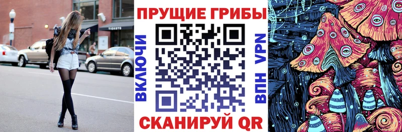 Псилоцибиновые грибы Psilocybine cubensis Камызяк